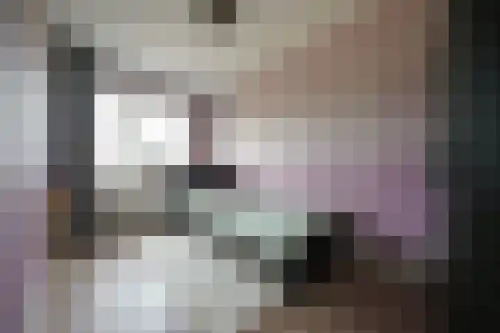 Kelderskamp 36 Putten thumbnail 38