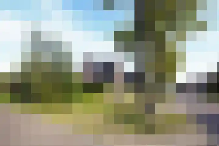 Kelderskamp 36 Putten thumbnail 5