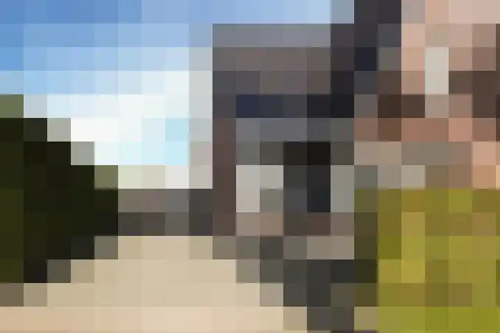 Kelderskamp 36 Putten thumbnail 52