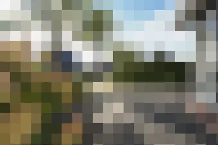 Kelderskamp 36 Putten thumbnail 54