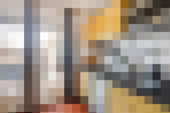 Kelderstraat 4 Stein thumbnail 31