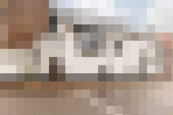 Kelderstraat 4 Stein thumbnail 9