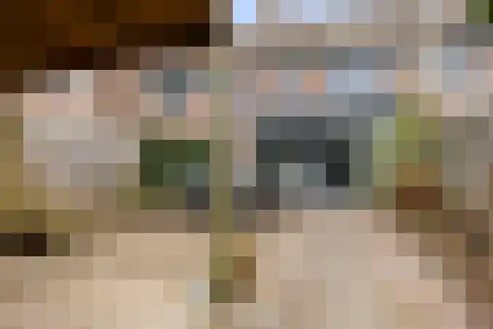 Kelderswerf 52 Obdam thumbnail 48
