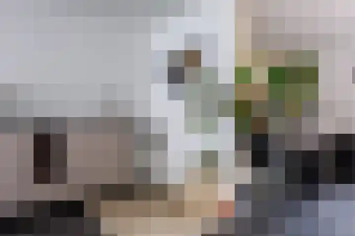 Kellerberg 21 Gennep thumbnail 11