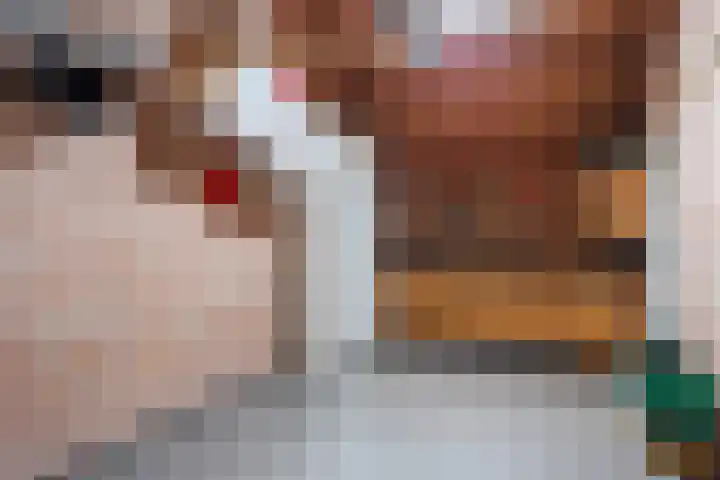 Kellerberg 21 Gennep thumbnail 20
