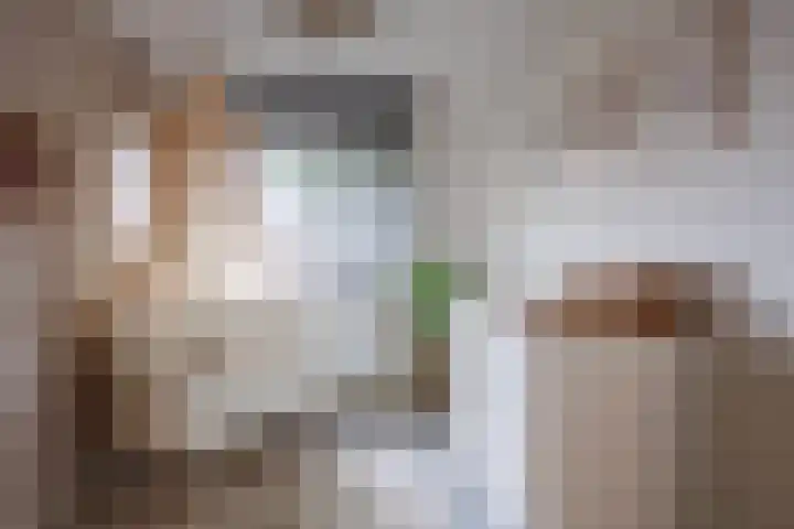 Kellerberg 21 Gennep thumbnail 22