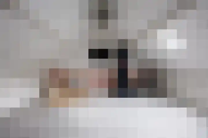Kellerberg 21 Gennep thumbnail 35