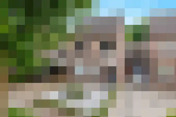 Kellerberg 21 Gennep thumbnail 51