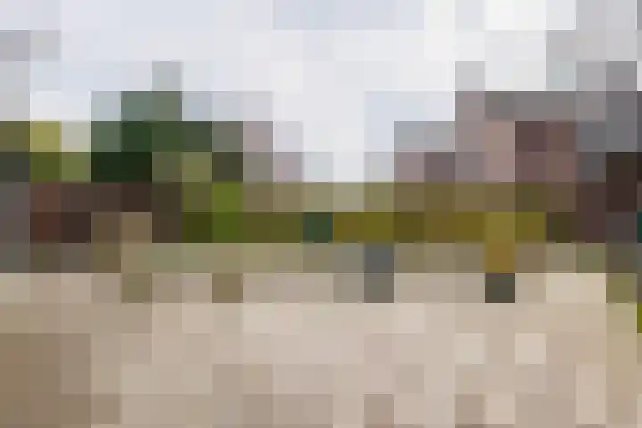 Kellerberg 52 Gennep thumbnail 30