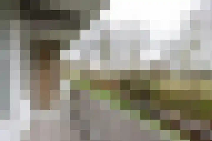 Kelloggplaats 10 Rotterdam thumbnail 17
