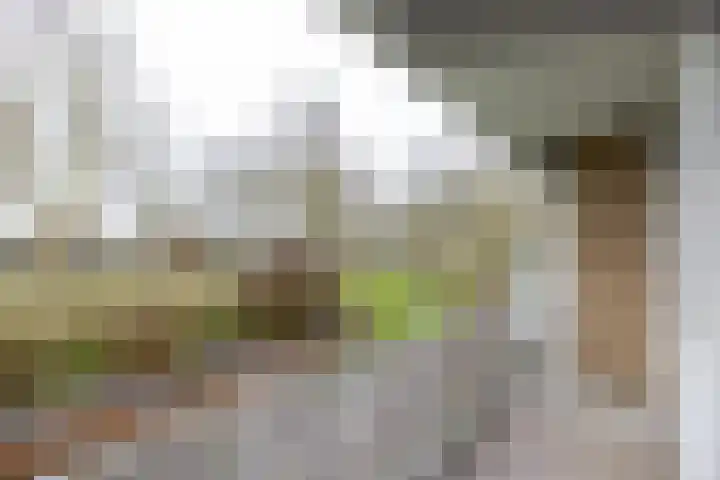 Kelloggplaats 10 Rotterdam thumbnail 20