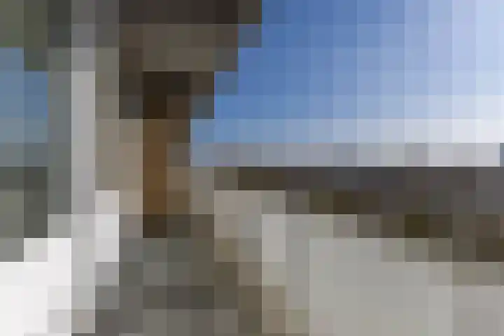 Kelloggplaats 242 Rotterdam thumbnail 28
