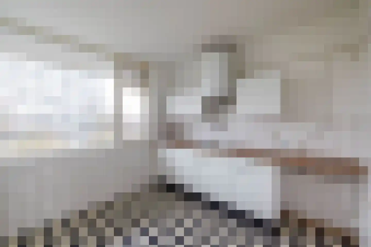 Kelloggplaats 302 Rotterdam thumbnail 5