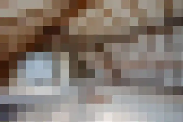 Kemp 10 Horn thumbnail 19