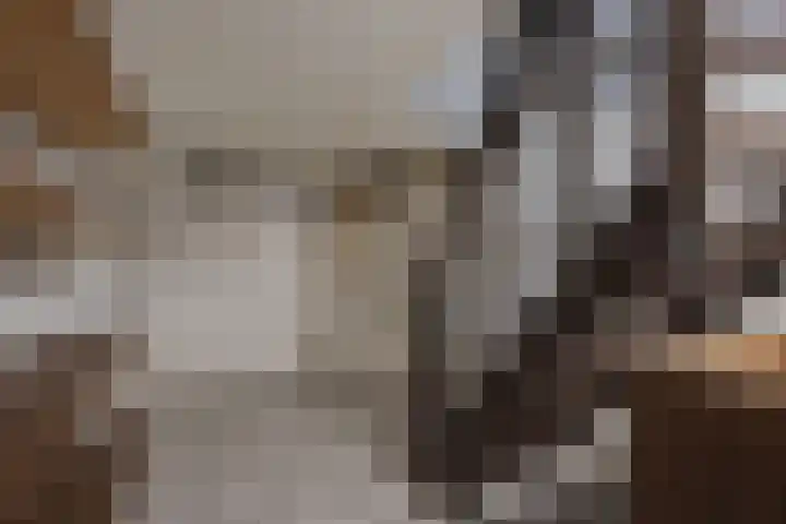 Kemp 10 Horn thumbnail 21