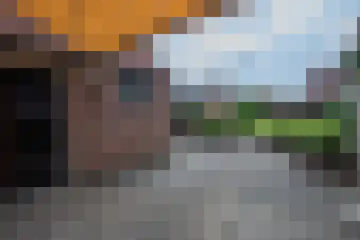 Kemp 10 Horn thumbnail 23