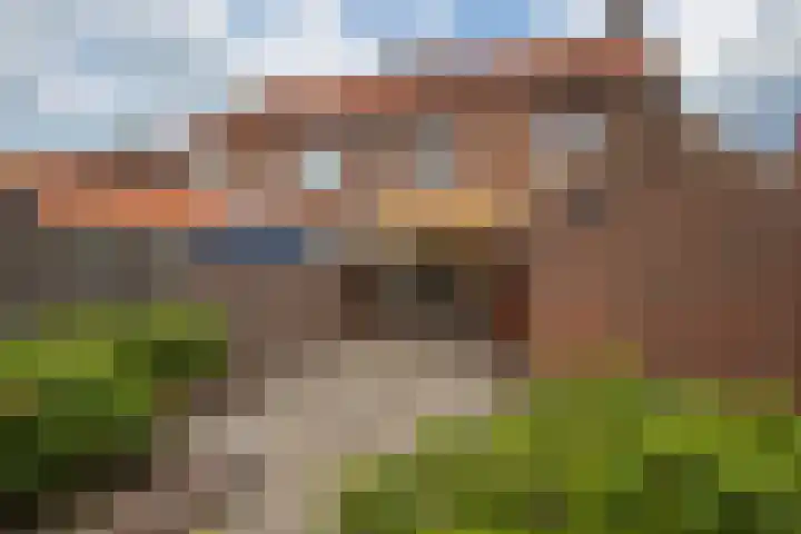 Kemp 10 Horn thumbnail 24