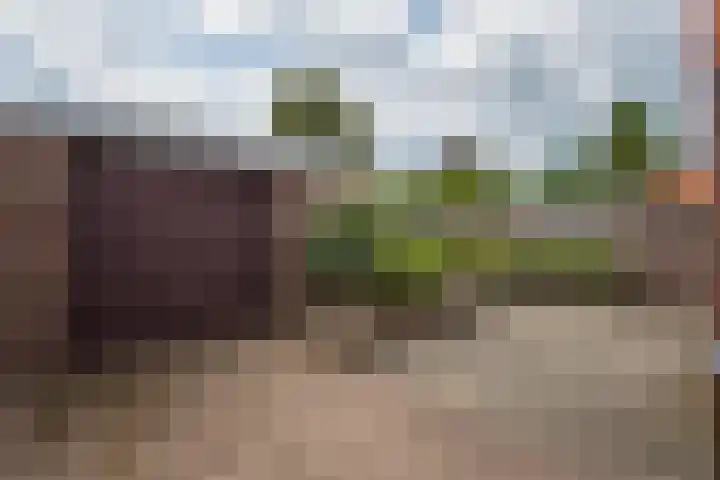Kemp 10 Horn thumbnail 25