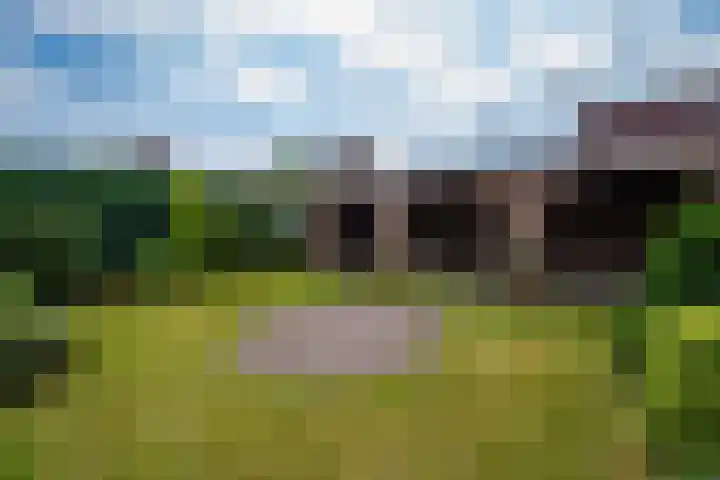 Kemp 10 Horn thumbnail 27