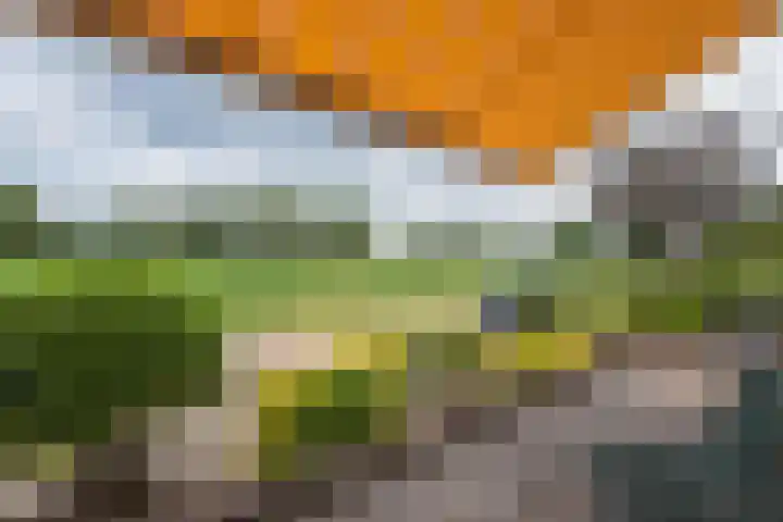 Kemp 10 Horn thumbnail 30