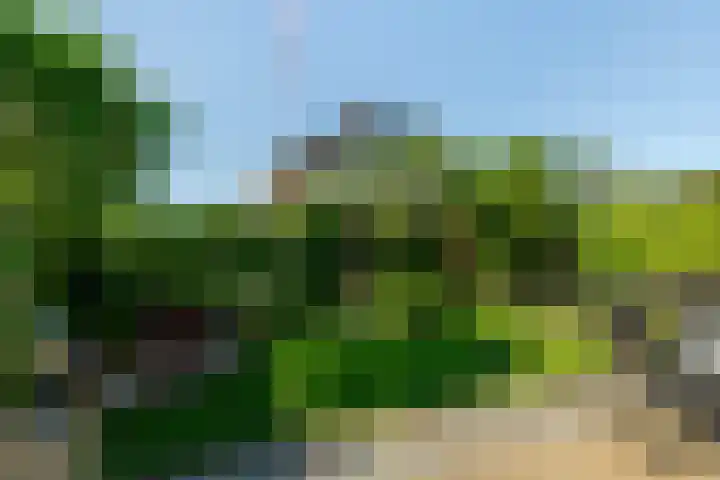Kempenaar 7 Barendrecht thumbnail 5