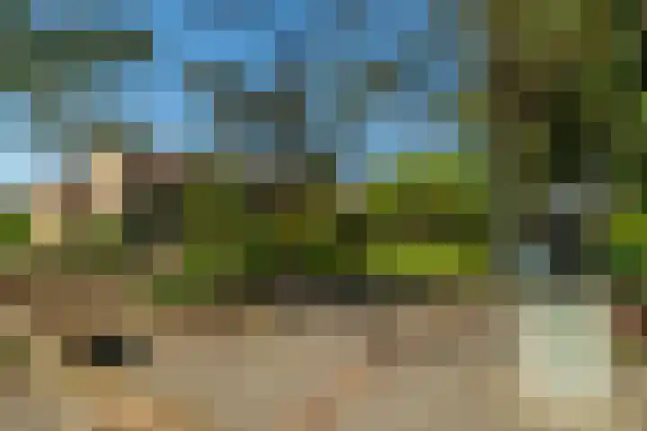 Kempenaar 7 Barendrecht thumbnail 7