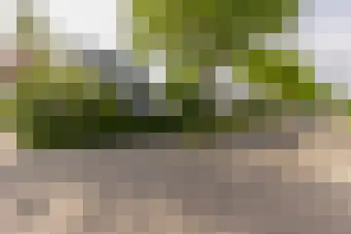 Kempenstraat 17 Sittard thumbnail 5