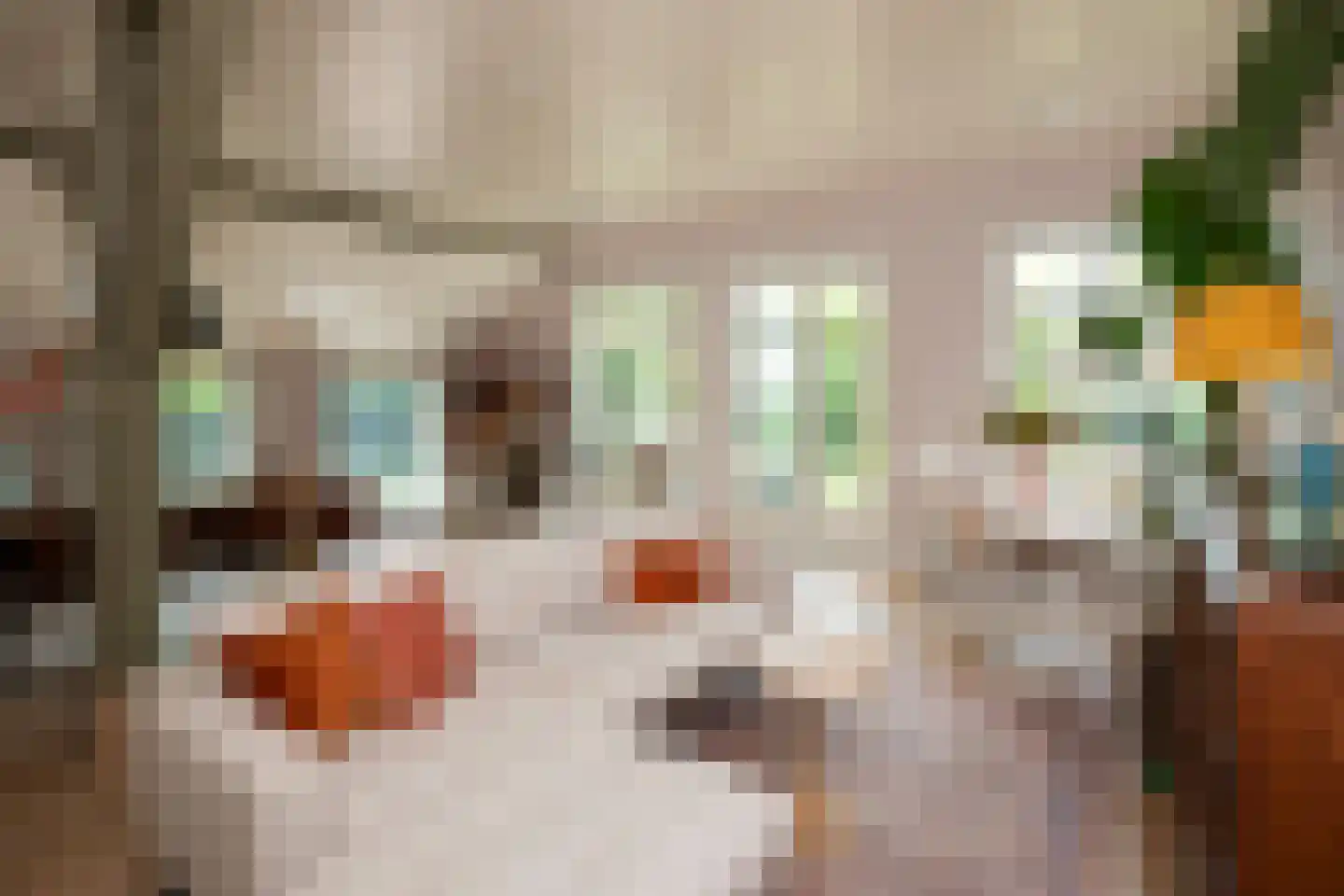 Kempenstraat 3 Borne thumbnail 13