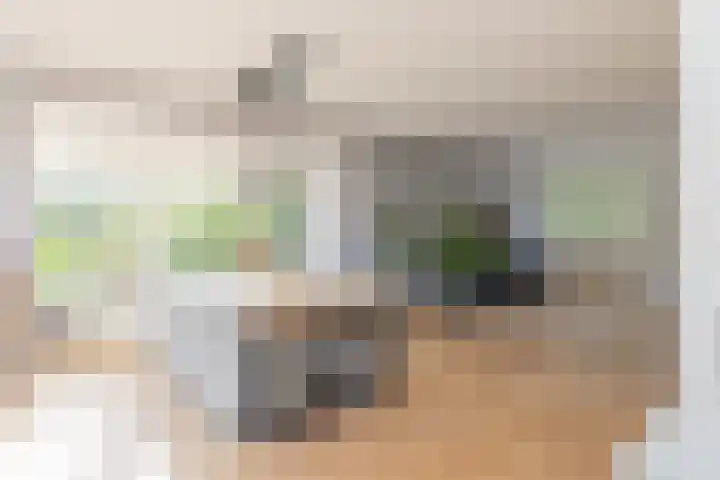 Kemperhof 1 Hoofddorp thumbnail 15