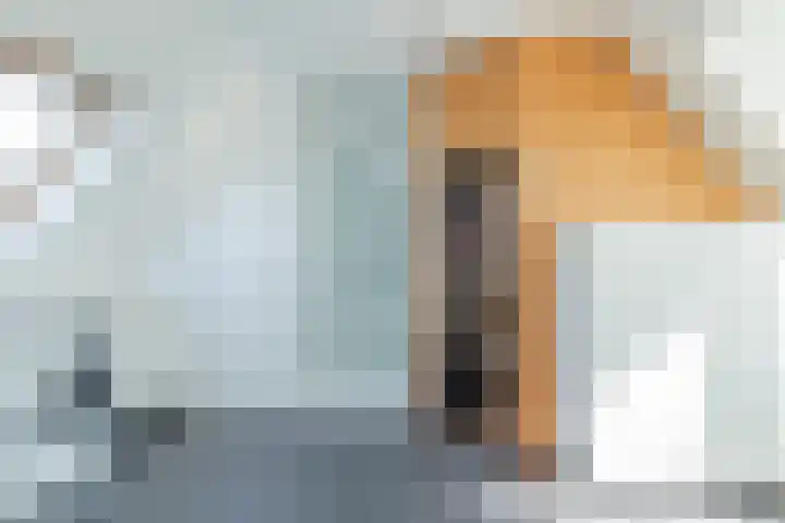 Kemperhof 1 Hoofddorp thumbnail 43