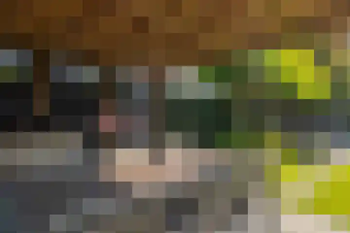 Kemperhof 1 Hoofddorp thumbnail 52