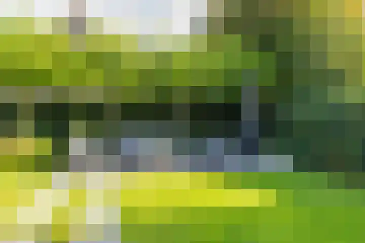 Kemperhof 1 Hoofddorp thumbnail 54