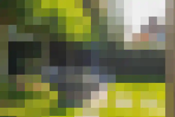 Kemperhof 1 Hoofddorp thumbnail 55