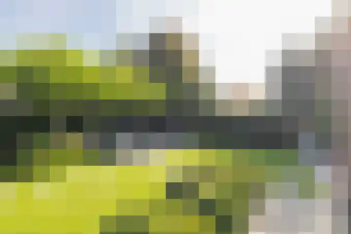 Kemperhof 1 Hoofddorp thumbnail 56