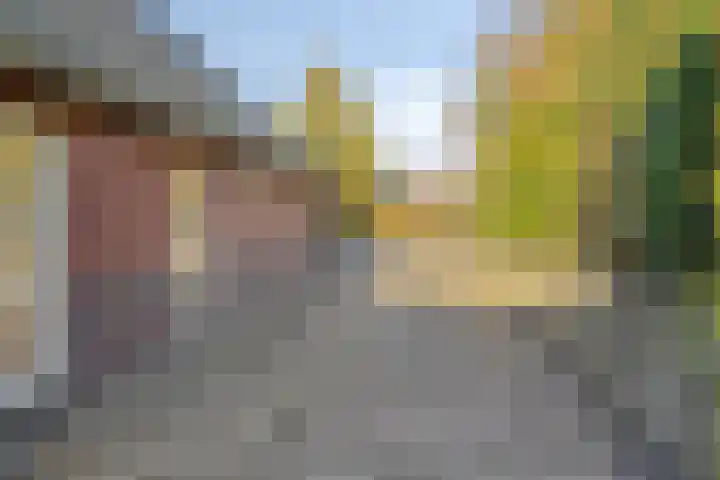 Kempersdijk 10 a Neede thumbnail 35