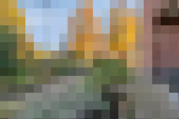 Kempersdijk 10 a Neede thumbnail 6