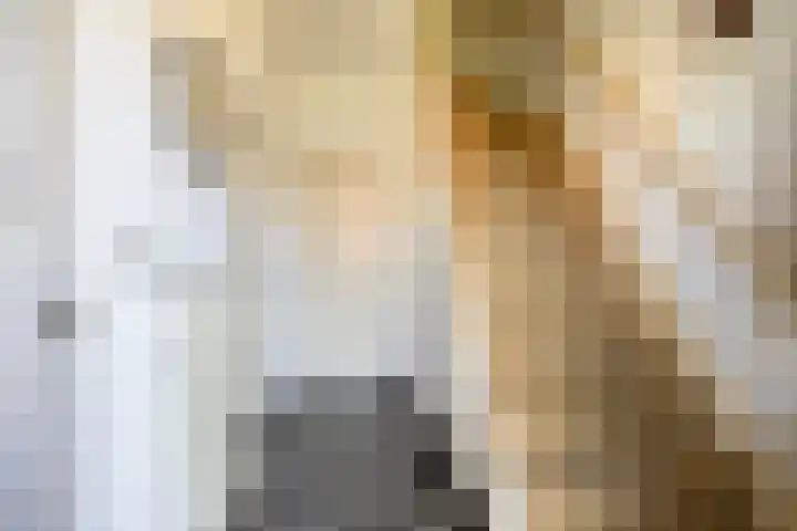Kempersdijk 20 Neede thumbnail 20