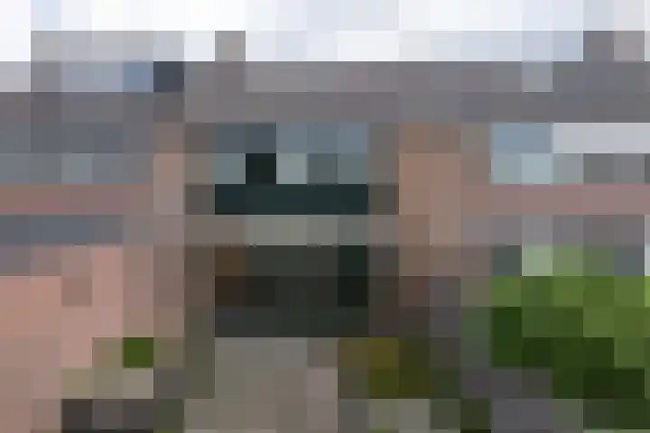 Kempershof 23 Neede thumbnail 19