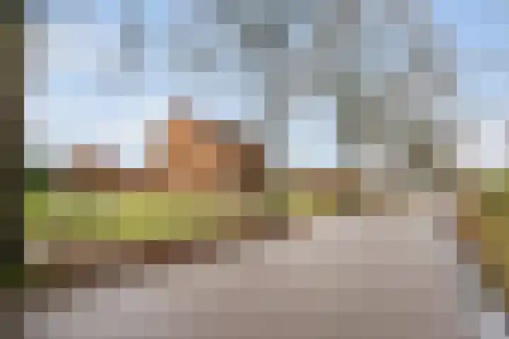 Kemperveldweg 30 Weert thumbnail 44