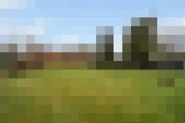 Kemperveldweg 30 Weert thumbnail 5