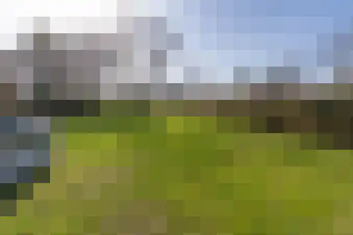 Kemperveldweg 46 Weert thumbnail 34