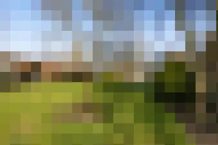 Kemperveldweg 46 Weert thumbnail 42