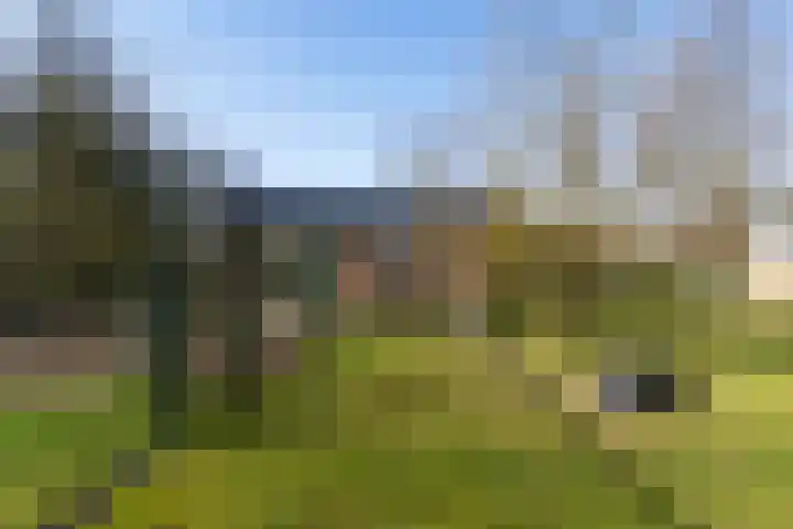 Kemperveldweg 46 Weert thumbnail 43