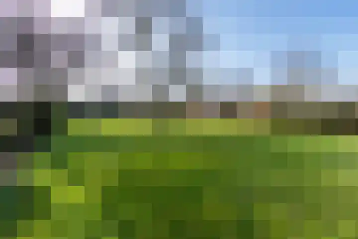 Kemperveldweg 46 Weert thumbnail 45