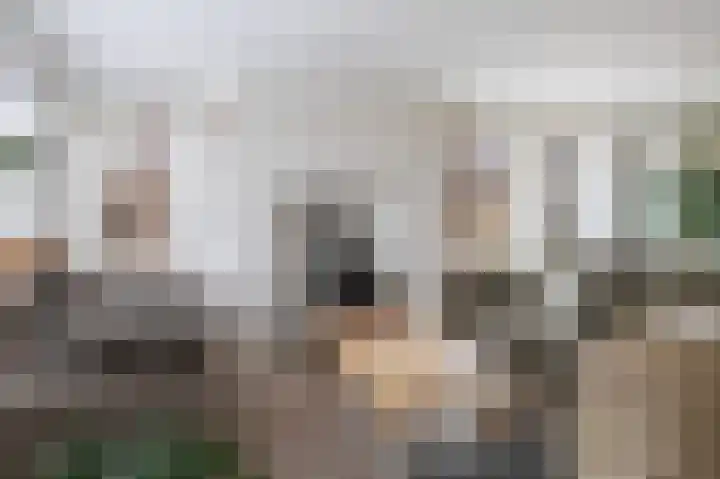Kemperweg 5 Markelo thumbnail 20