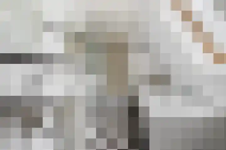 Kemperweg 5 Markelo thumbnail 33