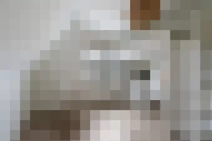Kemperweg 5 Markelo thumbnail 38