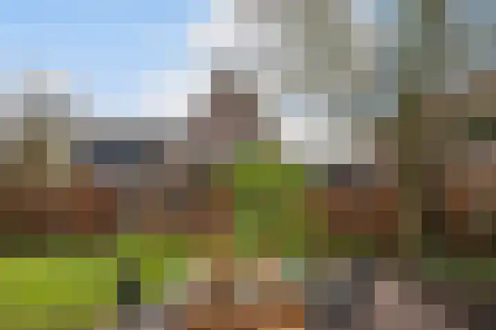 Kemperweg 5 Markelo thumbnail 4