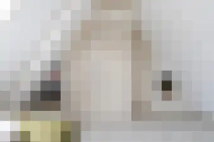 Kemperweg 5 Markelo thumbnail 42