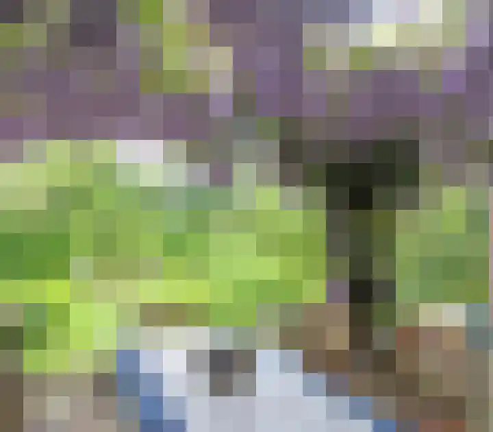 Kemperweg 5 Markelo thumbnail 43